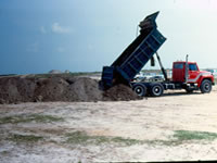 Biorremediación de Suelos